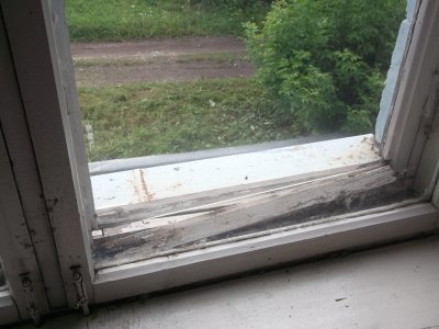 DSCF7528