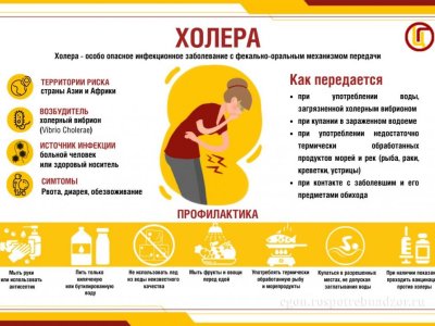 Холера (1)