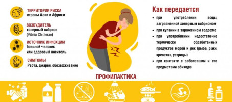 Памятка по профилактике холеры