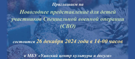 Новогоднее представление для детей участников Специальной военной операции