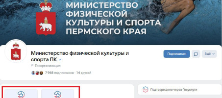 Жители Прикамья могут обращаться в органы власти при помощи виджетов в соцсетях