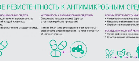С 18 по 24 ноября 2024 года Недели борьбы с антимикробной резистентность
