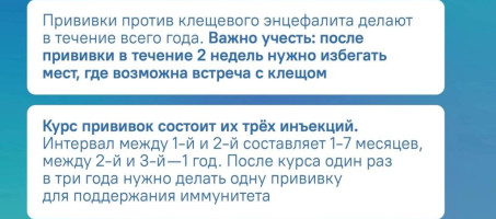 Прививку против клещевого энцефалита можно поставить: 