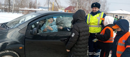 «Цветы для автоледи»