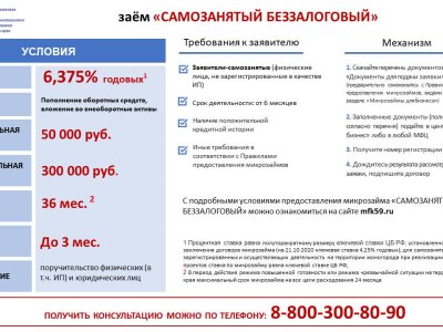 заём Самозанятый беззалоговый