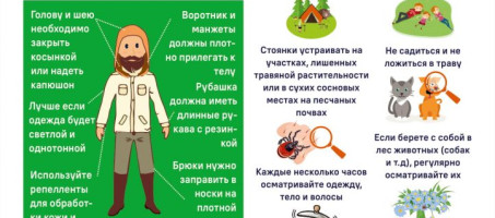 Что нужно знать о клещах