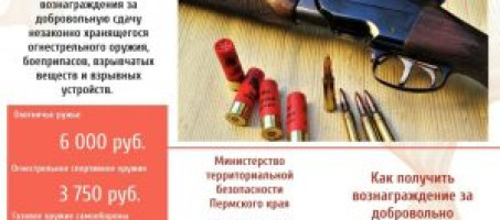 Добровольная сдача оружия