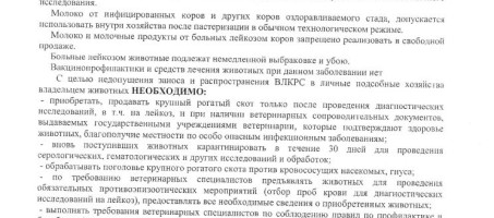 Памятка для населения по лейкозу КРС
