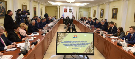 Молодые парламентарии Приволжья обсудили меры поддержки рождаемости в регионах округа