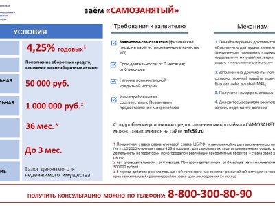 заём Самозанятый