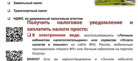 Срок уплаты имущественных налогов для физических лиц