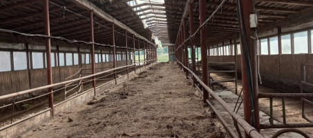 Заготовка кормов полным ходом идет в с. Аспа (на базе ООО «Нива»).