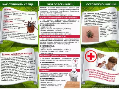Осторожно, клещи!