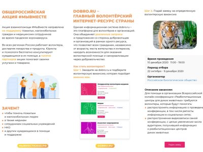 реклама-на-исполнение-до-4-декабря