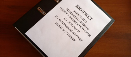 30 октября 2024 года в Думу Уинского муниципального округа внесен проект бюджета округа на 2025 год и на плановый период 2026 и 2027 годов.