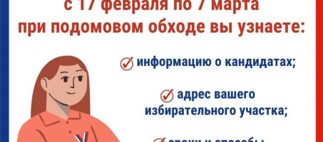 Члены избиркомов Прикамья постучатся в дом к каждому