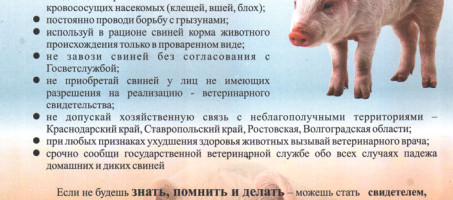 Памятка владельцам животных