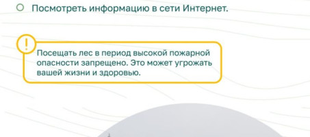 Правила безопасности в лесу
