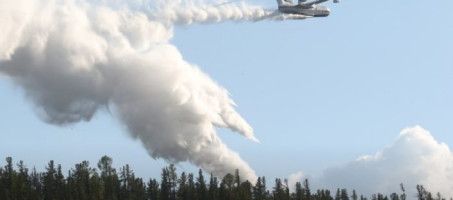 Пожарная безопасность в лесу