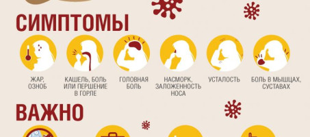 Осторожно грипп