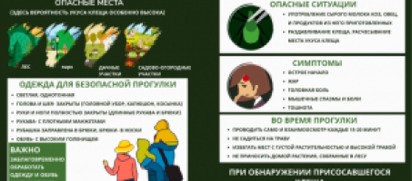 Клещи!
