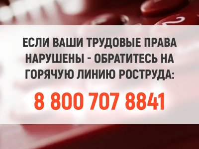 8 Если ваши трудовые права нарушены - обратитесь на горячую линию Роструда_ 8 800 707 8841