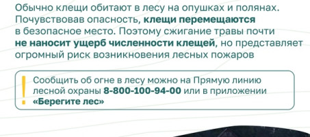 Миф и правда