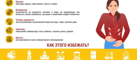 Памятки по профилактике острых кишечных инфекций