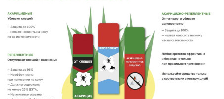 ОСТОРОЖНО КЛЕЩИ!