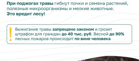 Миф и правда